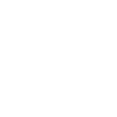 Solution SEO globale